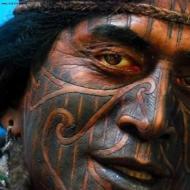 Татуировка: символ свободы или пережиток древности Татуировка мангуст